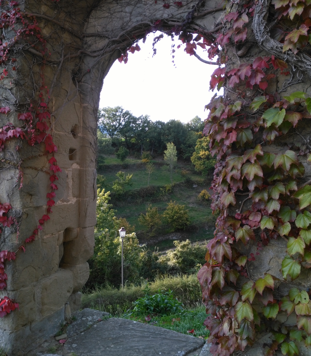 doorway with red vines