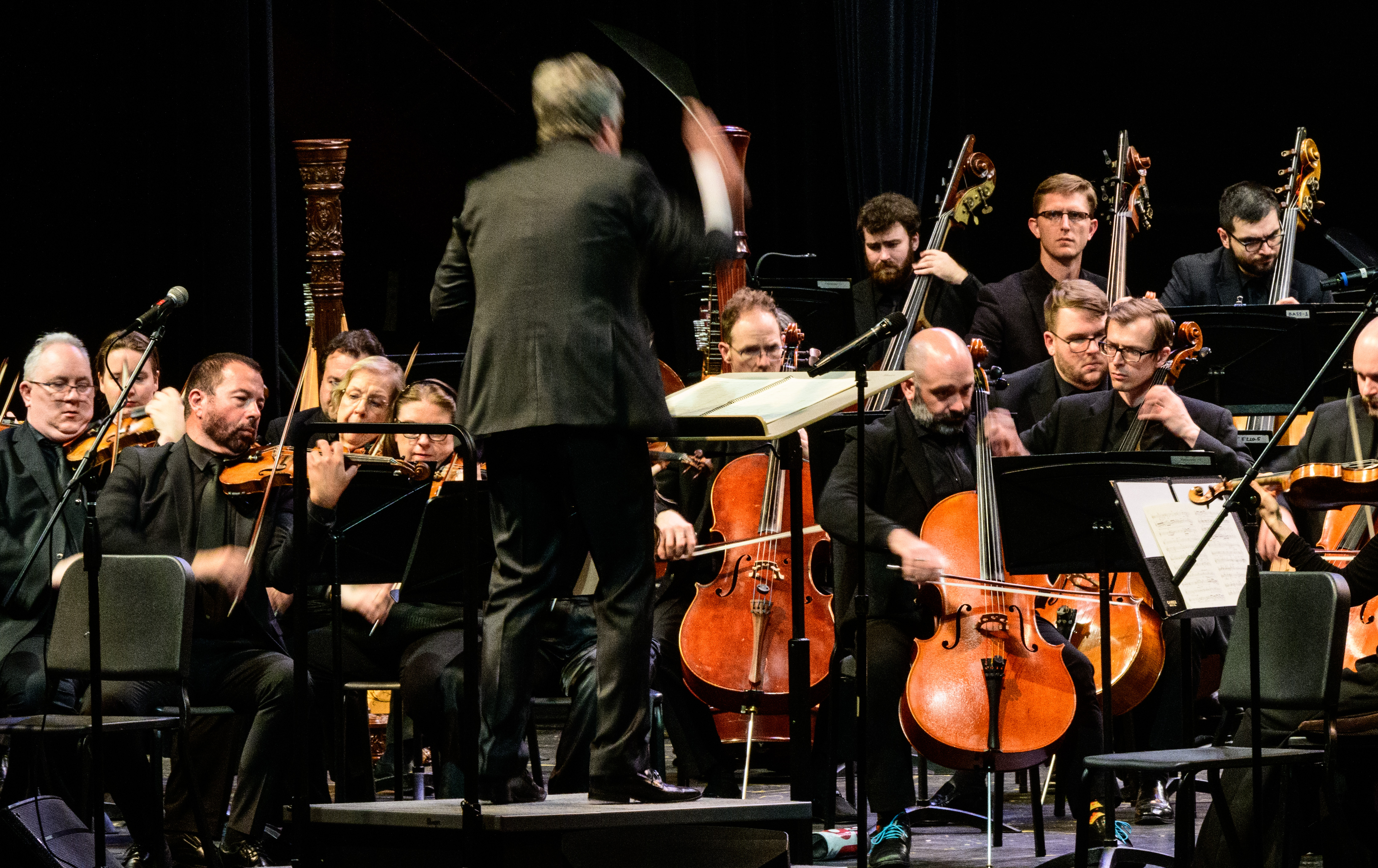 Conductor in front of orchestra